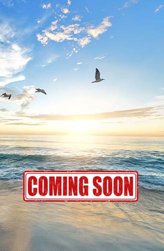 Book cover of Author Roxanne Boudreaux new book